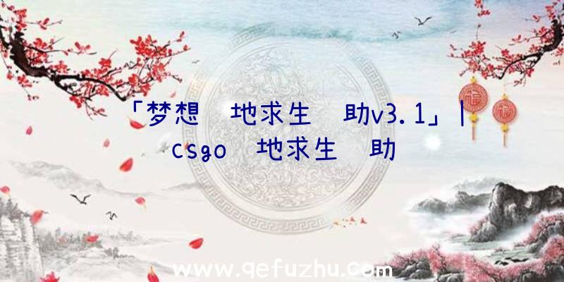 「梦想绝地求生辅助v3.1」|csgo绝地求生辅助